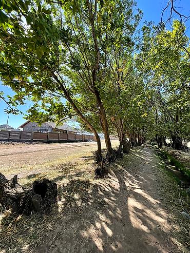 Продажа коттеджей и домов: Продаю свою мечту!! Строил для себя!! денег не жалел!!! Лучшие — 4