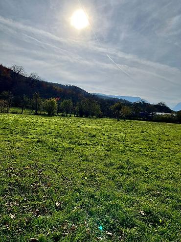 Torpaq sahələrinin satışı: 18 sot, Kənd təsərrüfatı, Kupça (Çıxarış) — 11