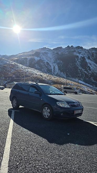 Toyota Corolla: 2005 г., 1.6 л, Механика, Бензин, Универсал