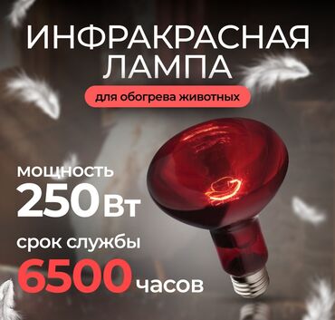 лазерная резка металла цена: Инфракрасная лампа 100.150.250 ватт Россия оригинал