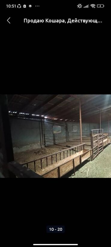 Сельхоз предприятия: Продаю Кошара, 50 соток, Действующий, Частично с оборудованием, Электричество, Канализация, Отопление at lalafo.kg — 16 Сельхоз предприятия: Продаю Кошара, 50 соток, Действующий, Частично с оборудованием, Электричество, Канализация, Отопление — 16