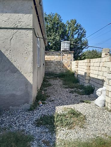 biləcəridə kirayə evlər 2026: 4 otaqlı, 100 kv. m, Kredit var, Yeni təmirli — 5