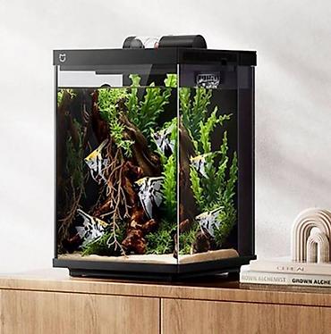 Рыбы: Умный Аквариум "Xiaomi" Mijia Desktop Smart Fish Tank 10L — 2