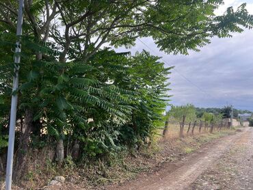 Torpaq sahələrinin satışı: 15 sot, Tikinti, Mülkiyyətçi, Kupça (Çıxarış) -da lalafo.az — 9 Torpaq sahələrinin satışı: 15 sot, Tikinti, Mülkiyyətçi, Kupça (Çıxarış) — 9