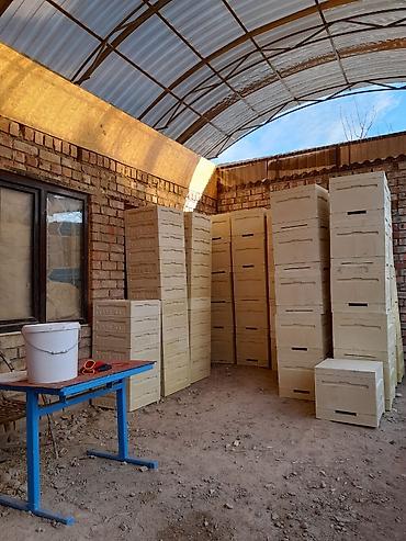 Другие с/х животные: Ульи для пчёл Преимущества ППУ ульев Пенополиуретан (ППУ) -Это — 21