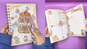 Dəftərlər: Məhsul: Tematik dəftərlər (LABUBU və Harry Potter) - Növlər: - — 9