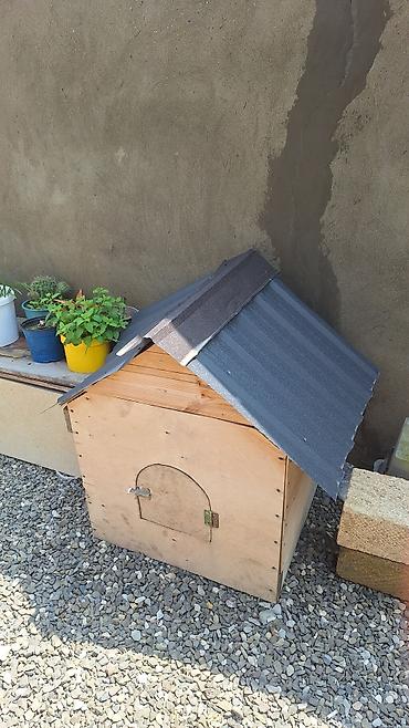 it yuvasi satilir: Taxta it evi / heyvan üçün açıq hava evi - Material: qalın faner və — 2