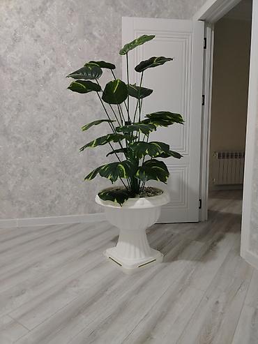 bakı tekstil fabriki: Satilir deyerindən cox ucuzz her biri manqal qarisiq 170azn — 1