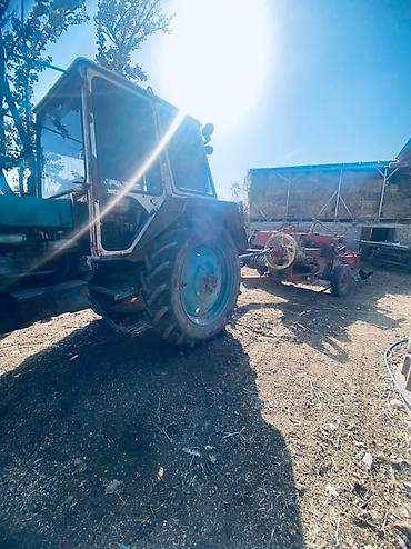 Тракторы ЮМЗ: Трактор юмз Абалы жакшы преспадборшик Кыргызстан апарат германский — 14