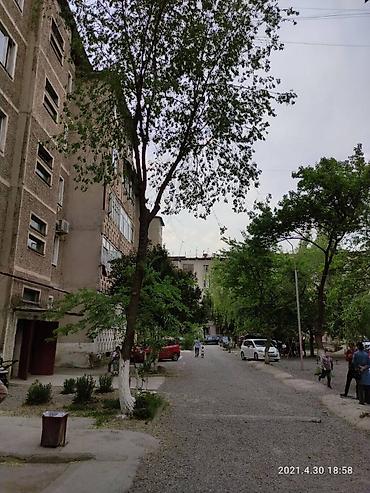 Долгосрочная аренда квартир: Адрес: город Ош, мкр. Анар 11 Сдаю порядочным людям без посредников — 13