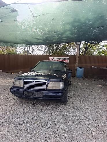 подсветка двери с логотипом марки автомобиля: Mercedes-Benz W124: 1994 г., 2 л, Механика, Бензин, Седан — 10