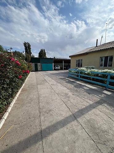 Кухонные гарнитуры: Кухонный гарнитур — 13