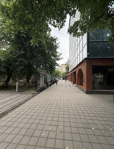 Долгосрочная аренда квартир: 1 комната, Манаса/Боконбаева Риэлтор, Парам без детей, от 6 месяцев, от 1 года, С мебелью полностью — 16
