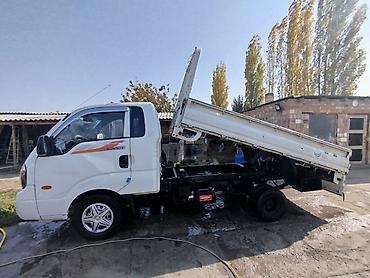 Легкий грузовой транспорт: Легкий грузовик, Kia — 12