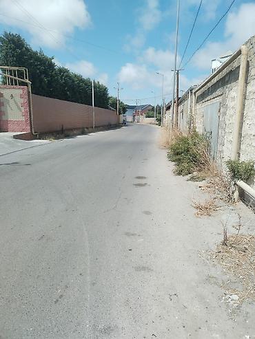 sahe: 6 sot, Tikinti, Makler, Kupça (Çıxarış) — 2