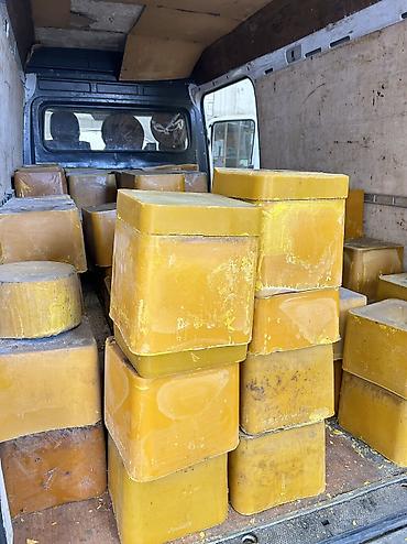 рыбы в кыргызстане: Подаю воск пчелиный цена 550-600 сом Оптом скидка будет имеется 5 тон — 3