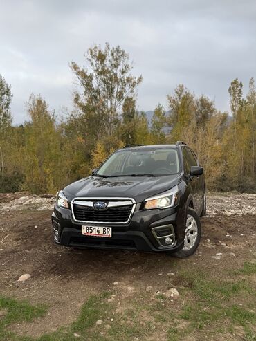 купить бампер на ауди 100 с4: Subaru Forester: 2019 г., 2.5 л, Автомат, Бензин, Жол тандабас
