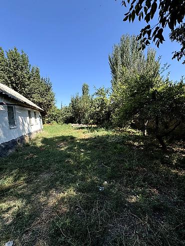 бизнес бишкек идеи: 21 соток — 3