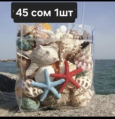 Аквариумы: Аквариумы и емкости для содержания черепах/мелких водных питомцев. 1) — 5