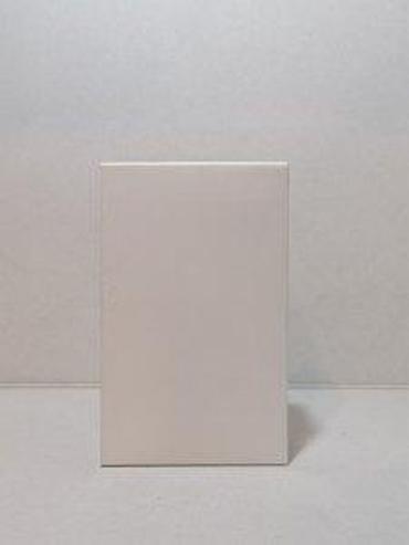 Parfemi: CHANEL COCO MADEMOISELLE INTENSE EDP100ML TSTR | Chanel Coco — 4