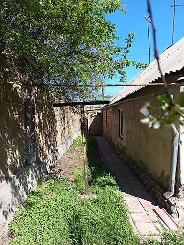 Продажа коттеджей и домов: Дом с ухоженным двором и хозяйственными постройками Ватсап — 11