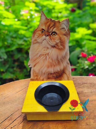 Su və yem qabları: Məhsul: Pişik temalı qidalandırıcı stendlər - Dizayn: Taxta əsaslı — 9