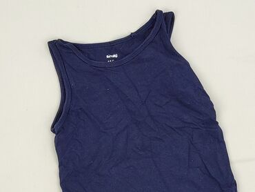 koszulka z labradorem: T-shirt, SinSay, 5-6 years, 110-116 cm, condition - Very good