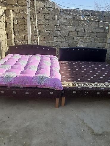 prostina desti: Kravat taza 
Hazırı var — 1