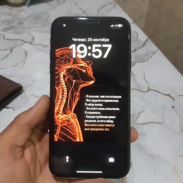 Apple iPhone: IPhone Xr, Черный, Кабель, 100 %