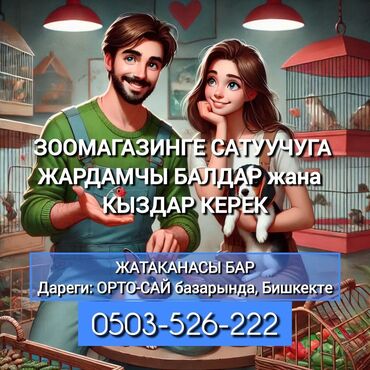 Другие специальности: ТЕЗ АРАДА ЗООМАГАЗИНГЕ САТУУЧУГА ЖАРДАМЧЫ БАЛДАР жана КЫЗДАР КЕРЕК