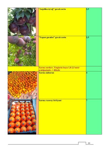 Tinglər: Meyvə və dekorativ ağac tingləri Təsvir: - Tərtər rayonu ərazisində — 8