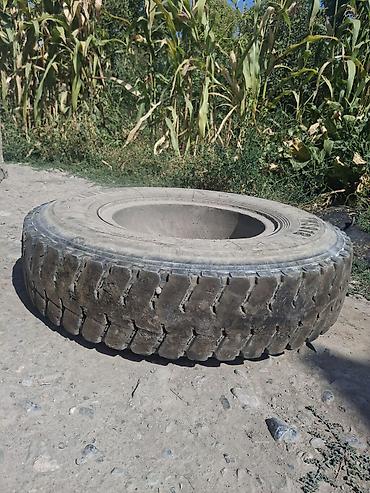 e500 124: Шины R 20, Б/у, Грузовики/Автобусы, Giti — 2