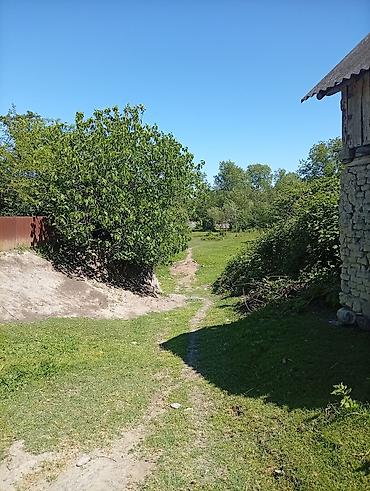 Torpaq sahələrinin satışı: 38 sot, Mülkiyyətçi, Kupça (Çıxarış) — 14