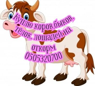 продам щенка: Куплю | Коровы, быки, Лошади, кони | На откорм, Откормленные, Бесплатная доставка