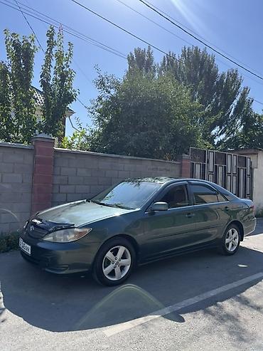 продает коврик: Toyota Camry: 2002 г., Автомат, Седан — 1