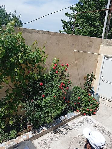 suraxan: Əmircan qəs. 3 otaqlı, 200 kv. m, Orta təmir — 7