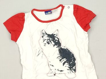 koszulka z krokodylem: T-shirt, Lupilu, 1.5-2 years, 86-92 cm, condition - Very good