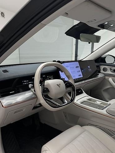 климат контроль 210: Hozon Neta L: 2024 г., 1.5 л, Автомат, Гибрид, Кроссовер — 8