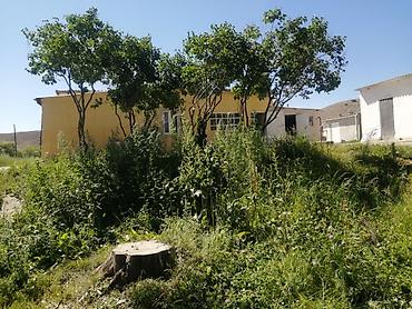 Продажа сельхоз предприятий: Ферма КРС, 25 соток, Действующий, С оборудованием, Электричество — 16