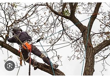 Дрова: Дрова — 3