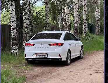 lf sonata: Hyundai Sonata: 2020 г., 2 л, Автомат, Бензин, Седан — 6