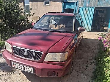 infinity qx: Subaru Forester: 2002 г., 2 л, Механика, Бензин, Универсал — 1