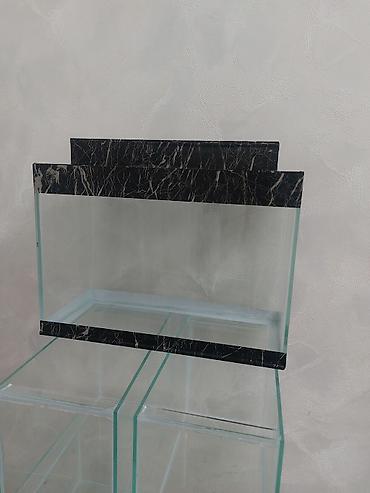 vakum su pompası: Şüşə akvarium – dekorativ “dollar” fonlu - Material: qalın temperli — 5