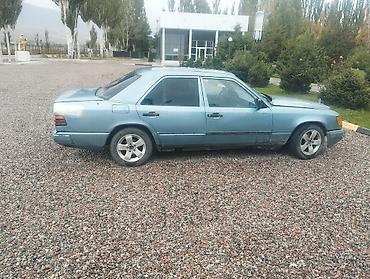 Mercedes-Benz: Mercedes-Benz E-Class: 1989 г., 2.5 л, Механика, Дизель, Седан — 4