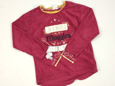 koszulka z mopsem: Sweater, Tu, 7 years, 116-122 cm, condition - Very good