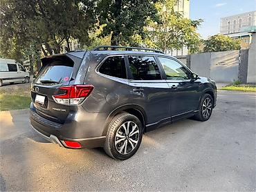 forester 2004: Subaru Forester: 2022 г., 2.5 л, Вариатор, Бензин, Кроссовер — 7