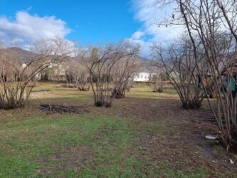 Kommersiya daşınmaz əmlakının satışı: Zaqatalada geniş həyətyanı sahəsi olan fərdi yaşayış evi - 2 — 3