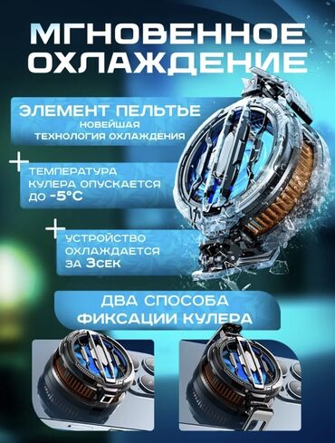 термо холодильник: Система охлаждения, Вентилятор