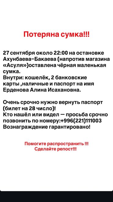 железный номер: Объявление: розыск потерянной сумки - Предмет: чёрная маленькая сумка