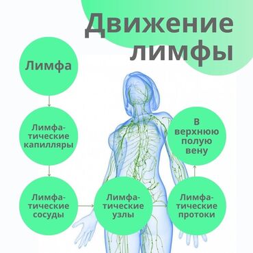 массаж по вызову: Массаж | Спорттук, Лимфодренаждык | Остеохондроз, Протрузия, Кифос, лордоз